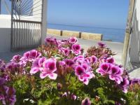 Sunrise Stagnone - Sicily Sea View Rooms - B&B Marsala