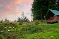 Mountain View Cabin, Hot Tub at White Pass Resort, Mt Rainier - B&B Packwood