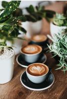 Modernes Appartement 5 km von Erfurt, mit Kaffeevollautomat, TV, WLAN, Boxspringbett, Schlafsofa und Einkaufsmöglichkeiten, sehr gute Anbindung zur A71 und A4, kostenloser öff Parkplatz für PKW und Transporter - Ferienwohnung Elxleben