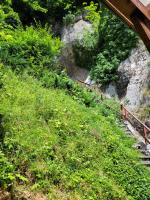 Camera Familiare con Terrazza 