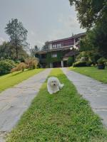 Chez Queen B&B - Lake Como - B&B Lurate Caccivio