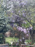 A room and garden close to Paris - Ferienwohnung Vitry-sur-Seine