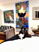 B&B Mittagong - Bowral Road Art Gallery Bed and Breakfast - Bed and Breakfast Mittagong