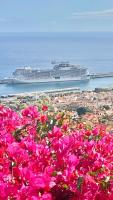 Casa ideal para famílias com vista mar desafogada - Ferienwohnung Funchal