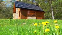 Survivalowa chata w lesie - Bed and Breakfast
