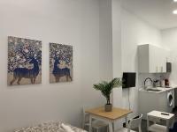 B&B Madrid - Ensanche Apartments - Bed and Breakfast Madrid