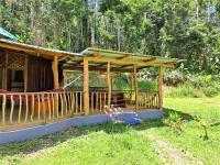 Terra NaturaMa - off grid living in the jungle - B&B Punta Uva