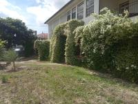 Quinta do Arieiro - B&B