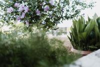 CASALMARE - B&B Casalbordino