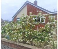 B&B Wroughton - Detached Country Bungalow - Bed and Breakfast Wroughton