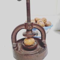 Walnut Cottage 1 - B&B Debrashtitsa