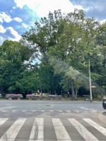 Katowice Tourism - In the Middle of the City Center - Chambres d'hôtes Katowice