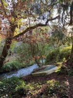 Tresillian Lodge Waterfront, Forest, Hot tub,Sauna - B&B Truro