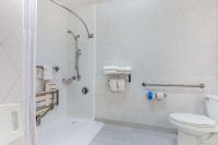 King Suite with Roll-In Shower - Accessible/Non-Smoking