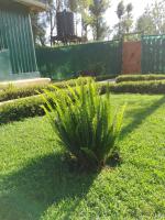 Wooden Knee Cottages Nanyuki - B&B Nanyuki