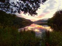 B&B Talyllyn - Pen-Y-Bont Hotel - Bed and Breakfast Talyllyn