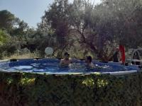 Le Mas des Oliviers appartement 2 pieces tous conforts - Chambres d'hôtes Draguignan