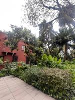 Nest House Condesa - B&B
