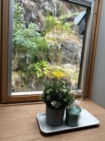 Le Coin Rocheux - Ferienwohnung