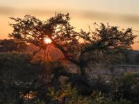 B&B Marloth Park - Wild Rose River Lodge - Bed and Breakfast Marloth Park