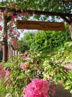 Agriturismo Il Tintore - B&B Tramonti