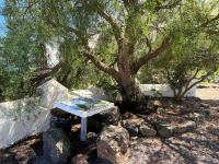 Casa Los Calderos - B&B Valldemossa