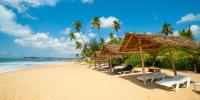 saha surf camp arugambay - B&B