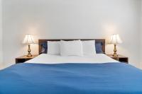 Suite con 1 Camera da Letto