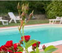 B&B Migliano - B&B Il Casale Del Ginepro - Bed and Breakfast Migliano