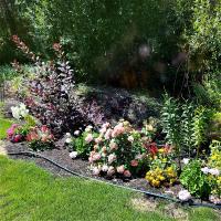 Steller Jay Hollow - B&B Summerland