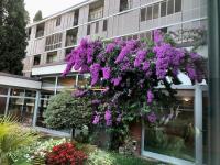 Residence Villa Alba - B&B Gardone Riviera