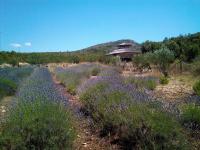 Primitivo Bay Hvar - B&B Lesina