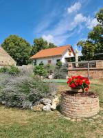 Suite con Terrazza
