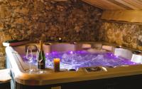 La Ferme de Beauregard SPA -LANARCE 07660 - jacuzzi et sauna - Ferienwohnung Lanarce