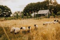 The Barn at Crofters Fold - Daylesford Macedon Region - B&B Pipers Creek
