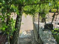 Kuća na obali reke Nišave - B&B