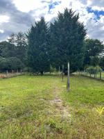 Maison lamotte beuvron - Chambres d’hôtes Lamotte-Beuvron