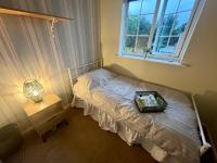 Single bed Parking Internet Coffee Garden Patio TV Quiet Close to main bus route B98 9NH - Chambres d'hôtes Beoley