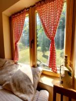 Šumska bajka - B&B Bajina Bašta