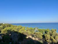 Seaview Beach Apartment Dasoudi - B&B