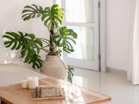 Casa Majorca at Ulu - Ferienwohnung Uluwatu