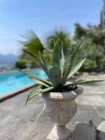 Casa Sonora - Bed and Breakfast Orselina