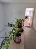 Ferienwohnung zur alten Post - B&B Pirna
