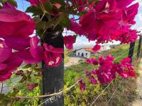 Casa Luna Hotel Campestre & Spa - B&B