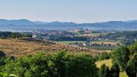 Apartma pri Boru - B&B Ptuj