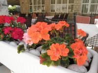 Bed & Breakfast Rab - B&B Rab