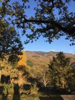 Rocca di Febbre - B&B