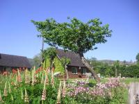 Myrtleberry Studio BnB - Chambres d’hôtes