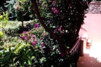 Despina's Home - B&B