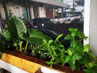 COZY HOUSE Working Space Stay with local in Bangkok Airport - B&B Bang Na